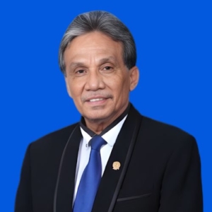 Said Damanik, S.H., M.H.