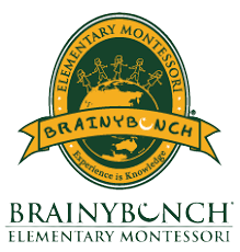 brainy-removebg-preview